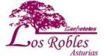 Residencia Los Robles Gerhoteles Asturias