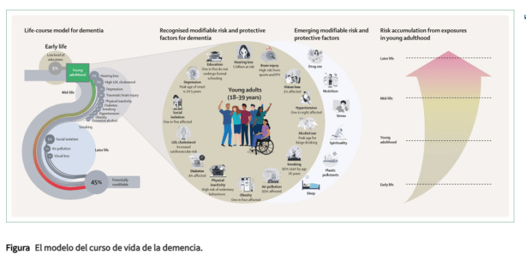 15 Hábitos Saludables para Prevenir el Alzheimer y otras Demencias en Adultos Jóvenes
