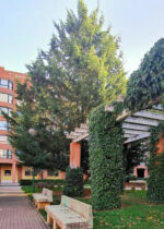 Residencia San Pedro y San Felices Burgos